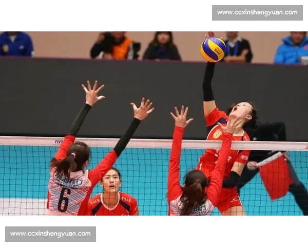 欧洲联赛垄断前十攻手 中国女排断层危机隐现