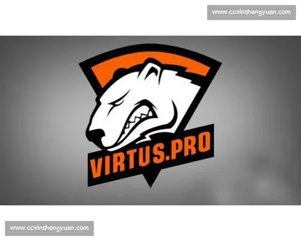 别眨眼！俄罗斯电竞代表队带来的精彩，超乎你想象！