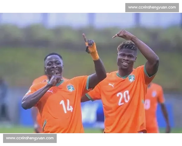 2026世界杯：非洲球队，梦想启航！